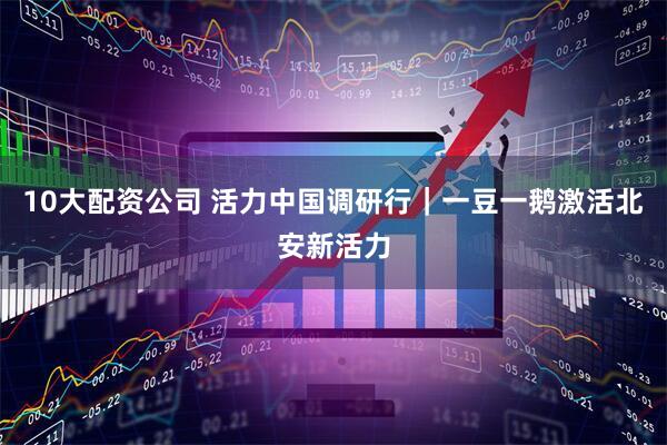 10大配资公司 活力中国调研行｜一豆一鹅激活北安新活力