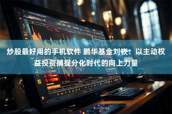 炒股最好用的手机软件 鹏华基金刘嵚：以主动权益投资捕捉分化时代的向上力量